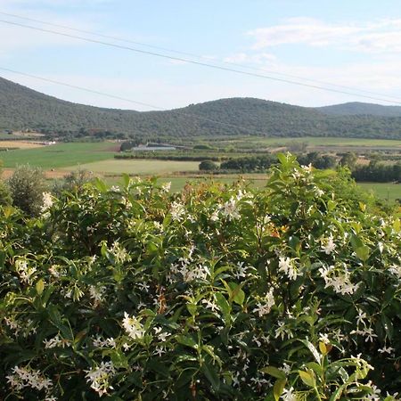 אלברזה Agriturismo Podere Montenero מראה חיצוני תמונה