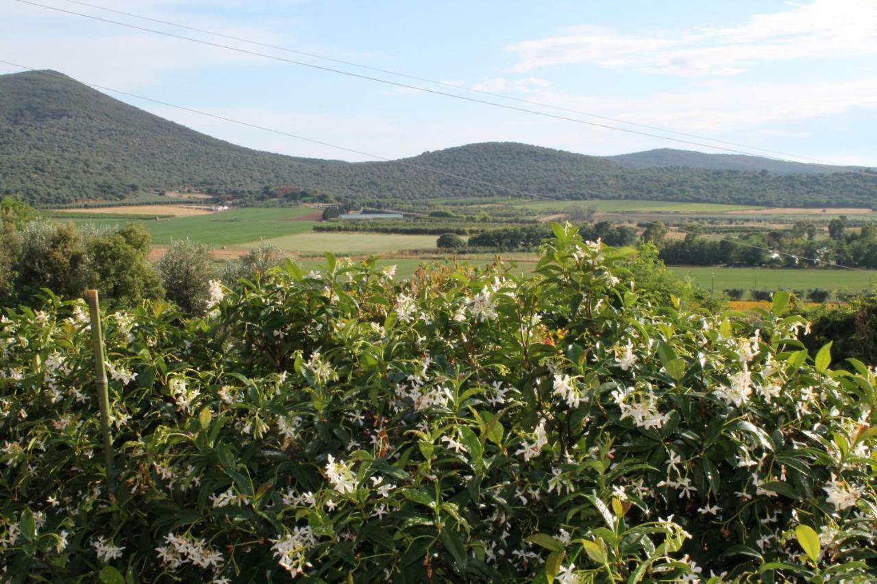 אלברזה Agriturismo Podere Montenero מראה חיצוני תמונה